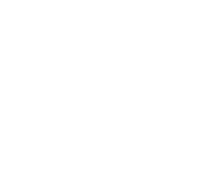 Dolphin Solutions